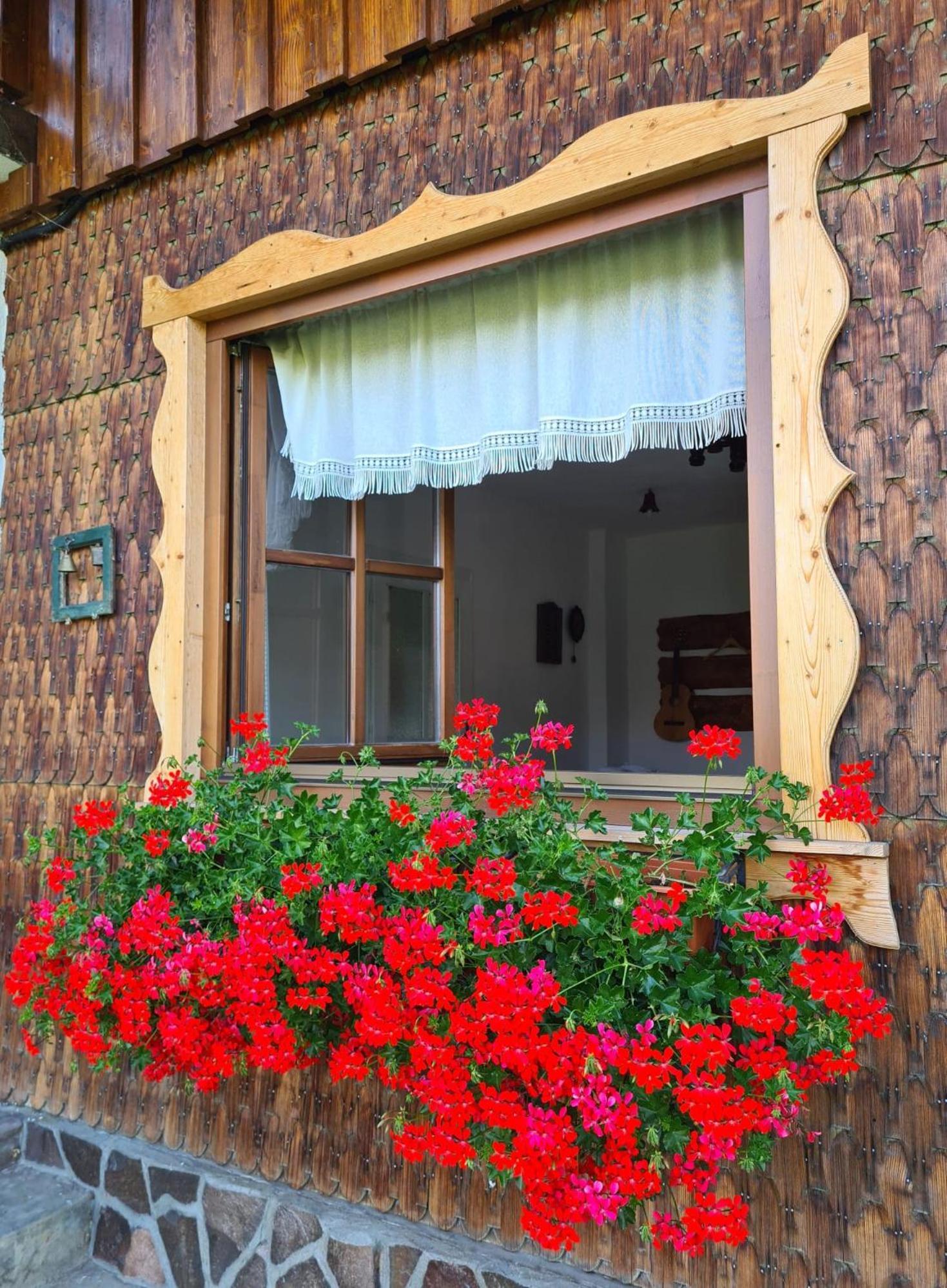Casa Muchia Lui Girnita Villa Brasov Bagian luar foto