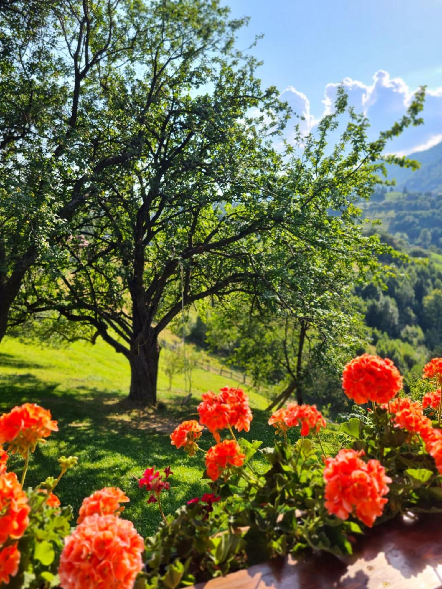 Casa Muchia Lui Girnita Villa Brasov Ruang foto